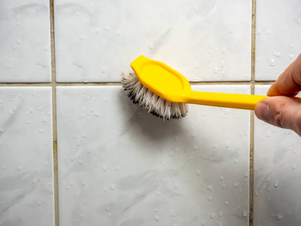 Best Office Mold Removal Services  in Chickamau, GA