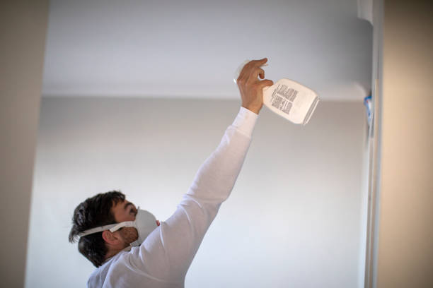 Best Local Mold Removal Service  in Chickamau, GA