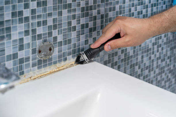 Best Mold Removal and Inspection  in Chickamau, GA