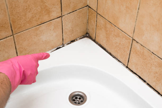 Best Mold Damage Repair  in Chickamau, GA